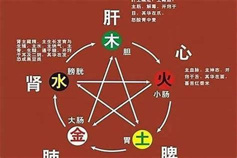 金木水火土 代表|金木水火土五行的本质是什么？